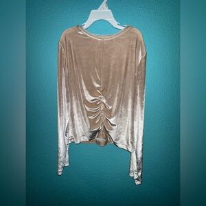 Zara Tan Velvet Long Sleeve Top